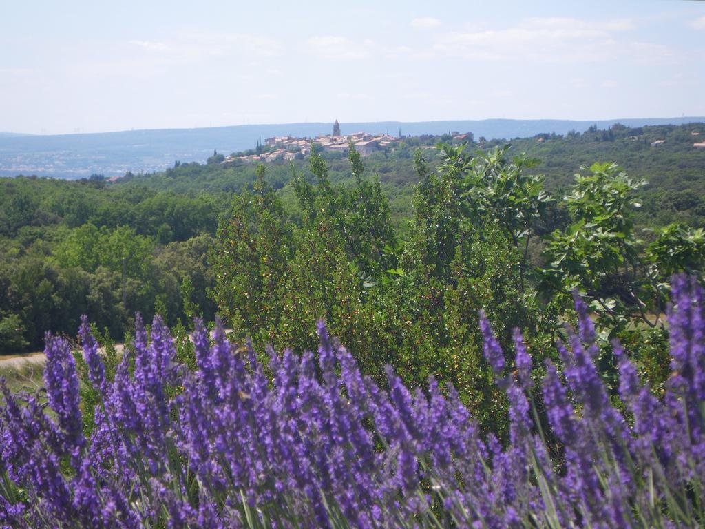 Les Esplanes Bed & Breakfast La Garde-Adhémar Eksteriør bilde
